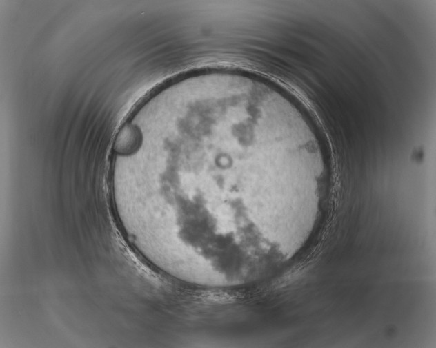 X0000115590799200912011502