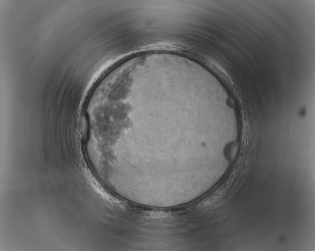 X0000115590800200912011502