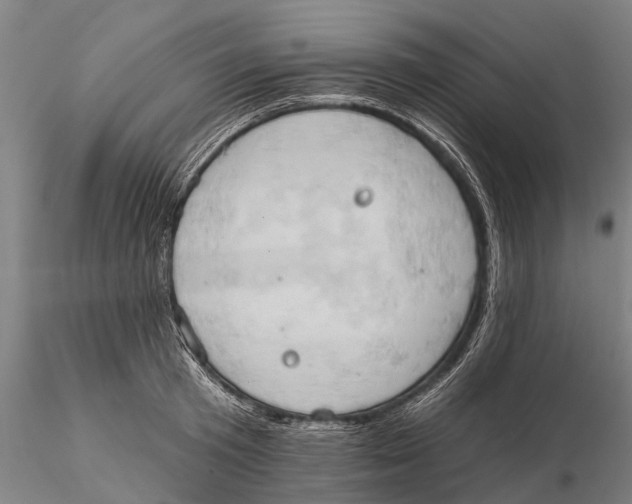 X0000115590801200912011502