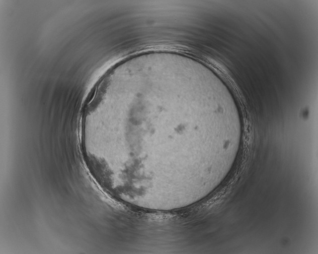 X0000115590804200912011502