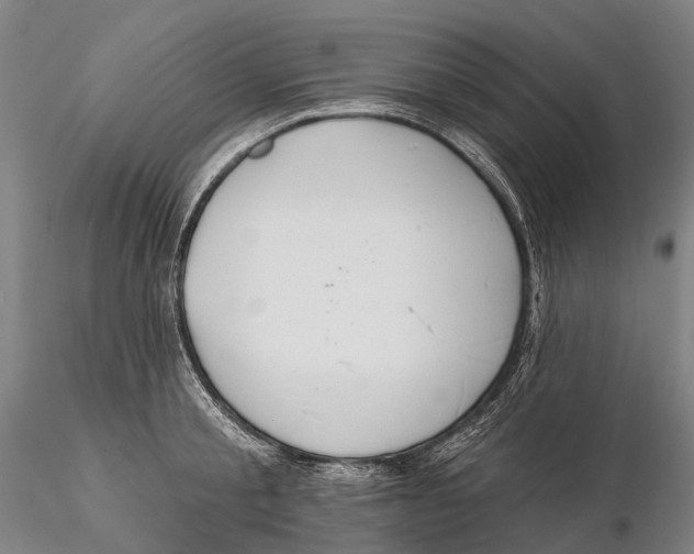 X0000115590805200912011502