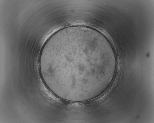 X0000115590806200912011502