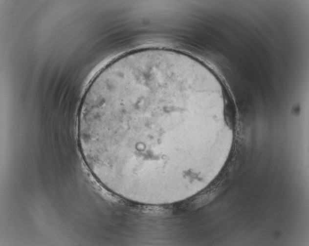 X0000115590807200912011502