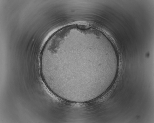 X0000115590808200912011502