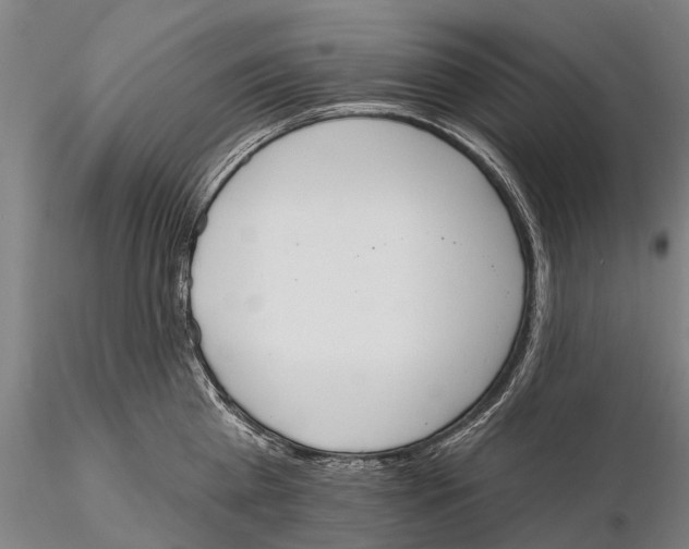 X0000115590809200912011502