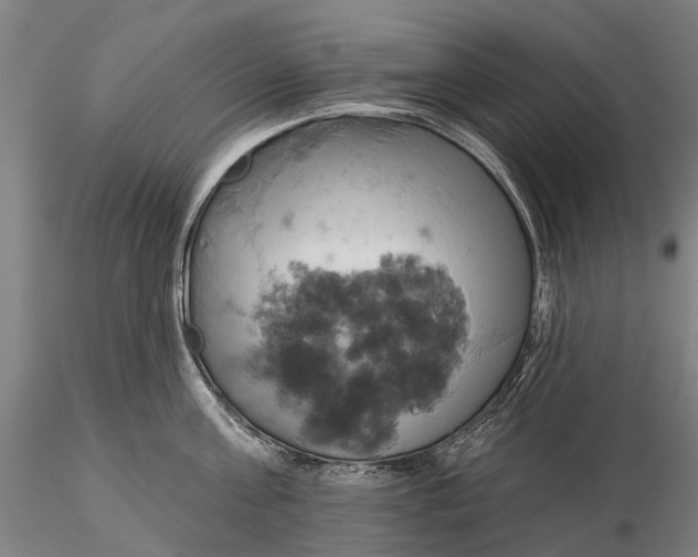 X0000115590811200912011502
