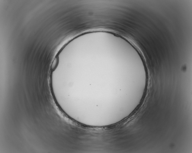 X0000115590813200912011502