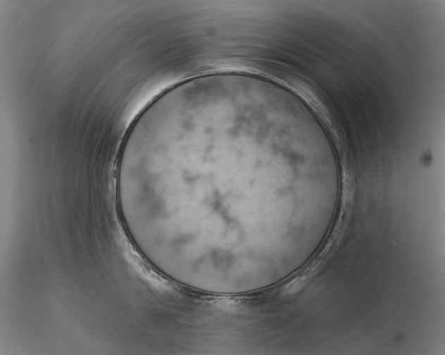 X0000115590814200912011502