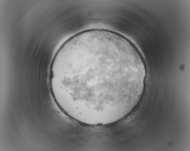 X0000115590815200912011502
