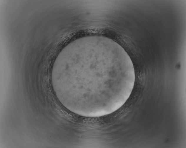 X0000115590817200912011501