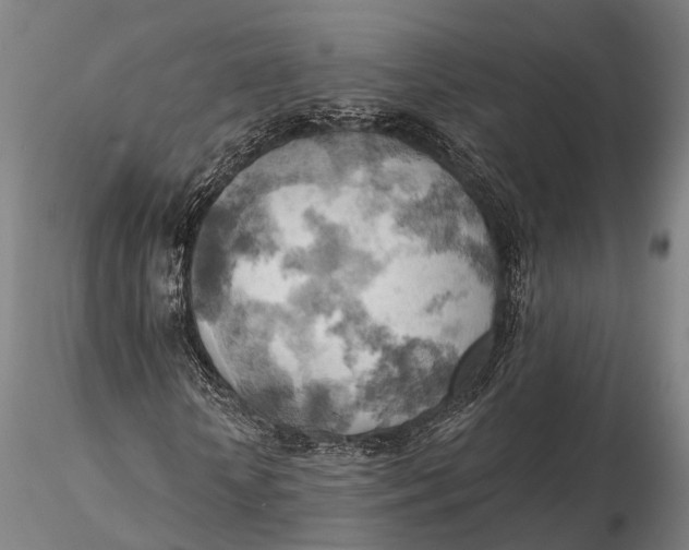 X0000115590818200912011501