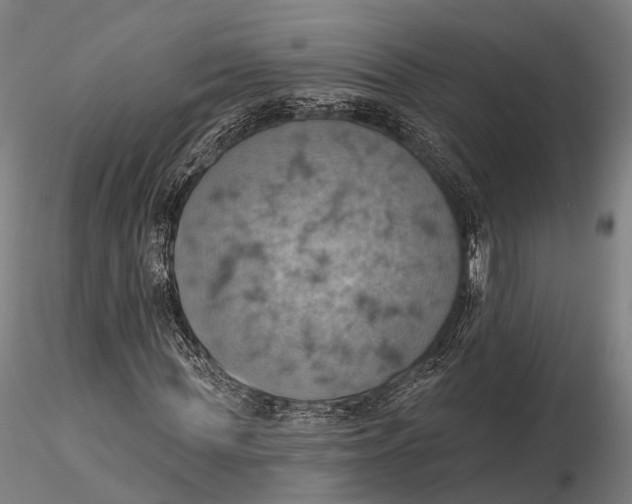 X0000115590819200912011501