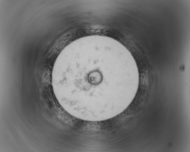 X0000115590820200912011501