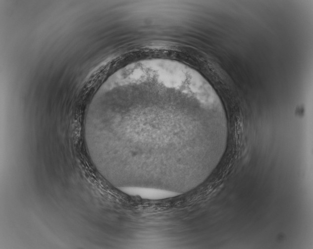 X0000115590821200912011501