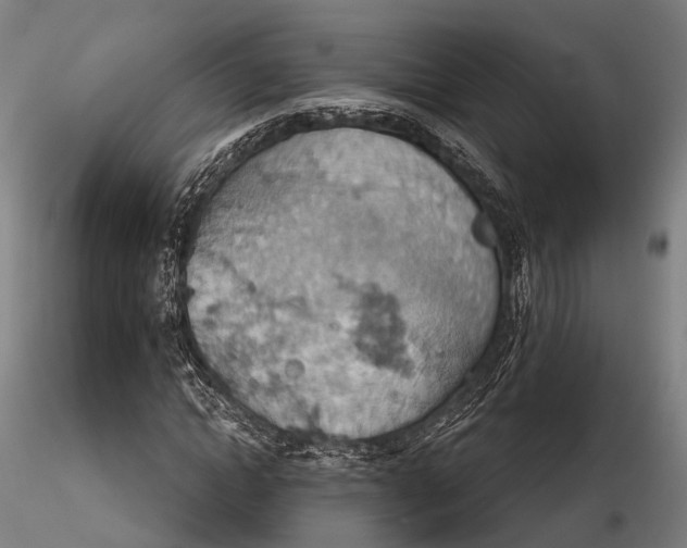 X0000115590822200912011501
