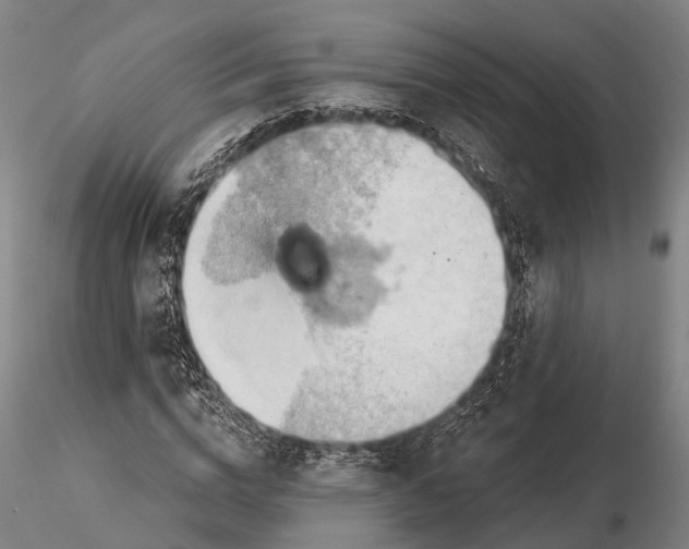 X0000115590824200912011501
