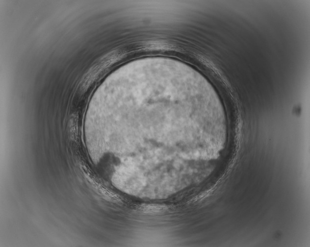 X0000115590825200912011501