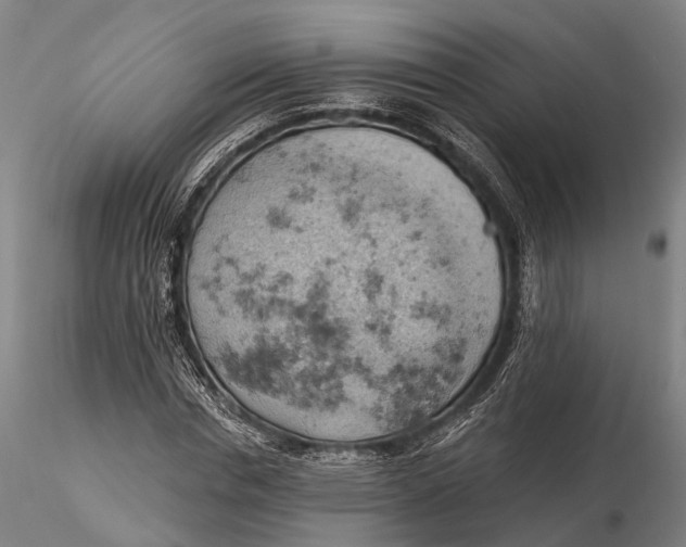 X0000115590826200912011501