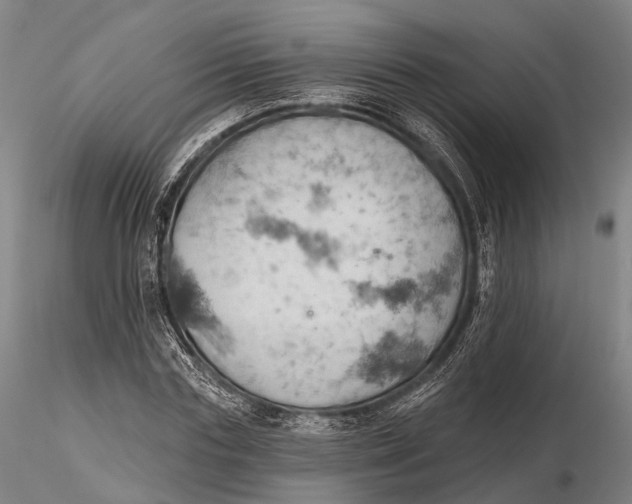 X0000115590827200912011501