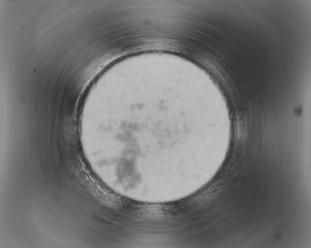 X0000115590828200912011501