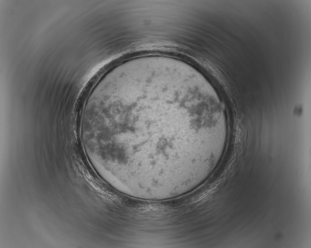 X0000115590830200912011501