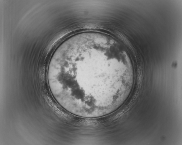 X0000115590831200912011501