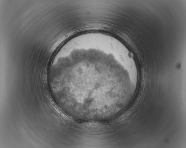 X0000115590834200912011501