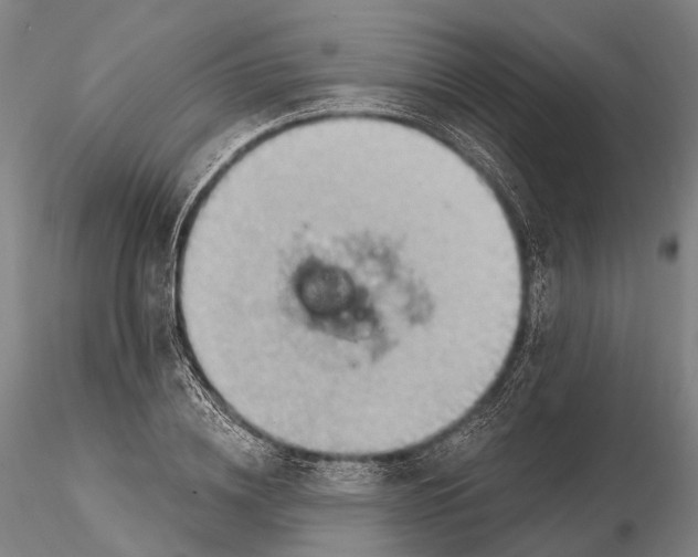 X0000115590836200912011501