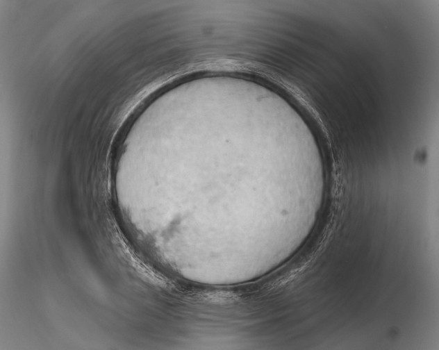 X0000115590837200912011501
