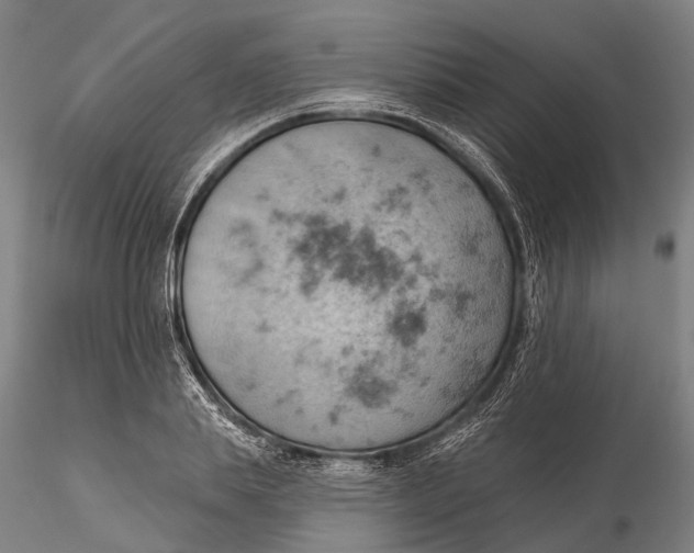 X0000115590839200912011501