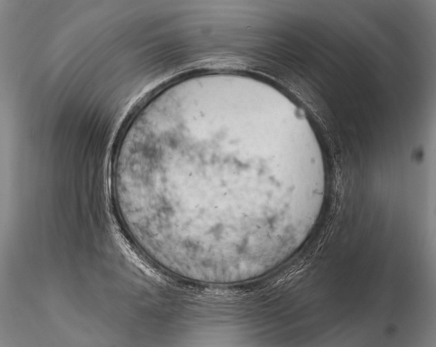 X0000115590840200912011501