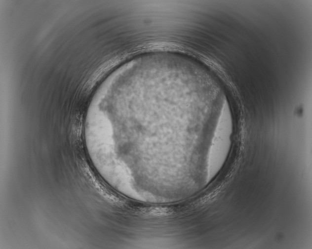 X0000115590841200912011501