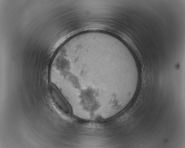 X0000115590842200912011501