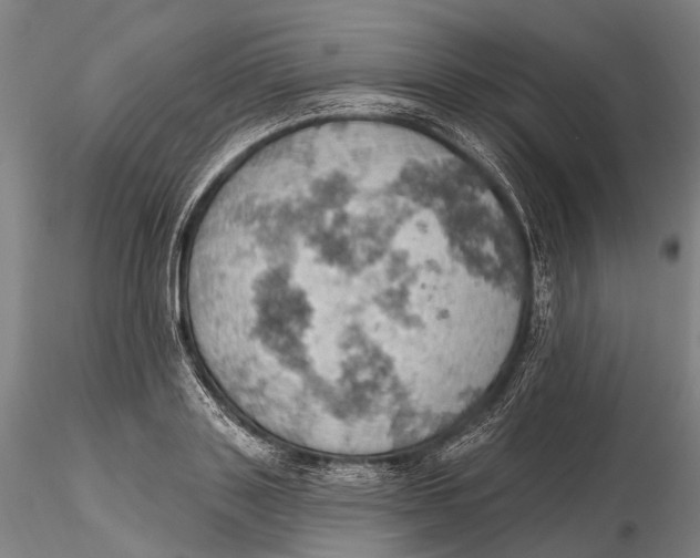 X0000115590843200912011501