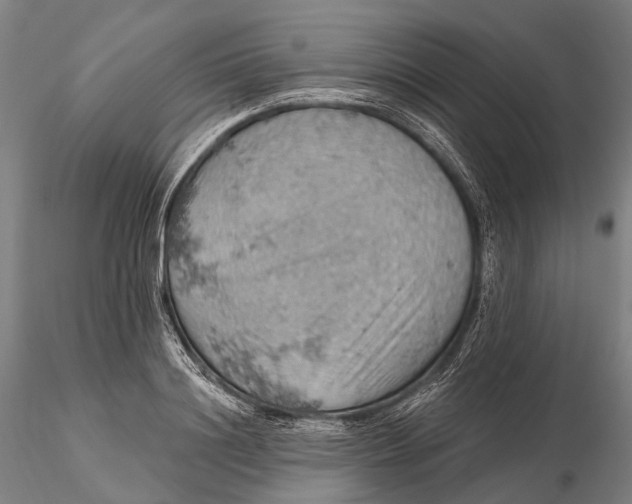X0000115590844200912011501