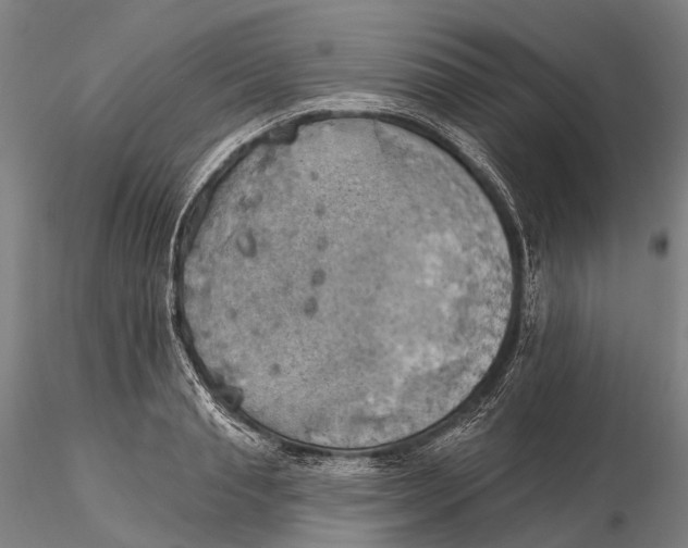 X0000115590845200912011501