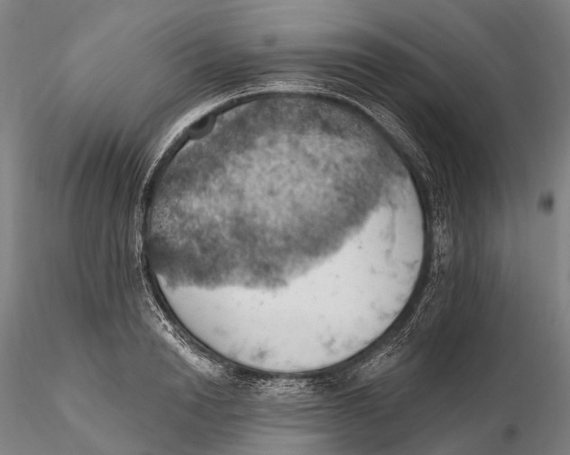 X0000115590846200912011501