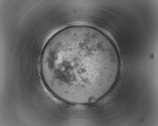 X0000115590847200912011501