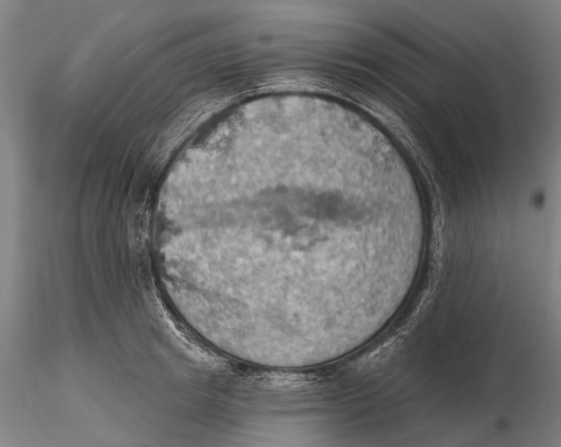 X0000115590849200912011501