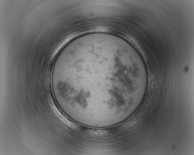X0000115590851200912011501