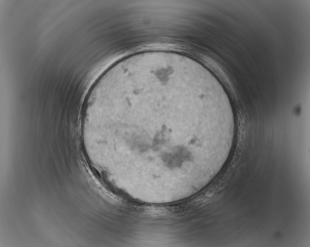 X0000115590852200912011501