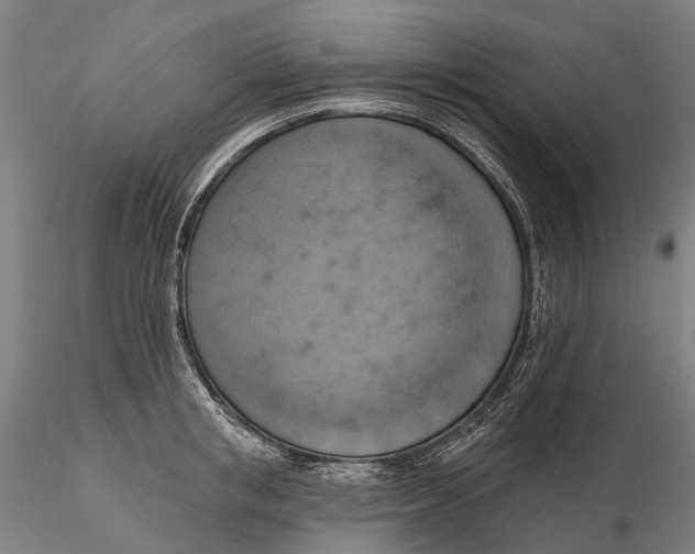 X0000115590853200912011501