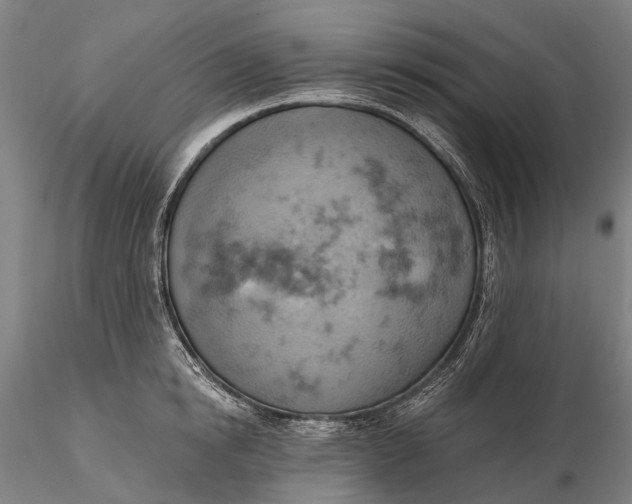 X0000115590854200912011501
