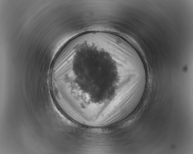 X0000115590855200912011501