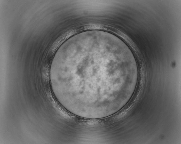 X0000115590857200912011501