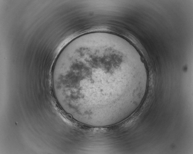 X0000115590858200912011501