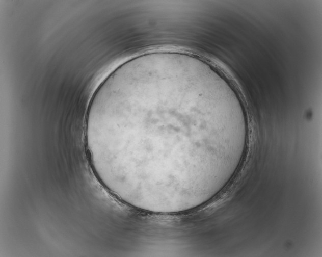 X0000115590860200912011501