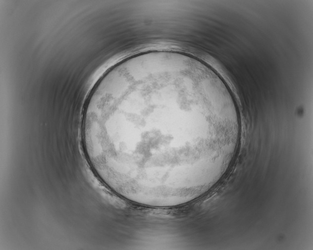 X0000115590861200912011501
