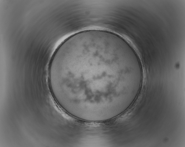 X0000115590862200912011501