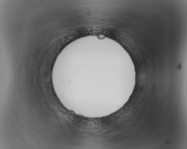 X0000115590865200912011501